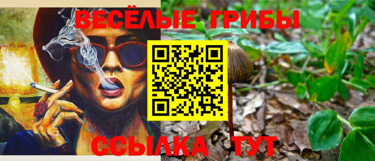 Псилоцибиновые грибы Psilocybe Усолье-Сибирское